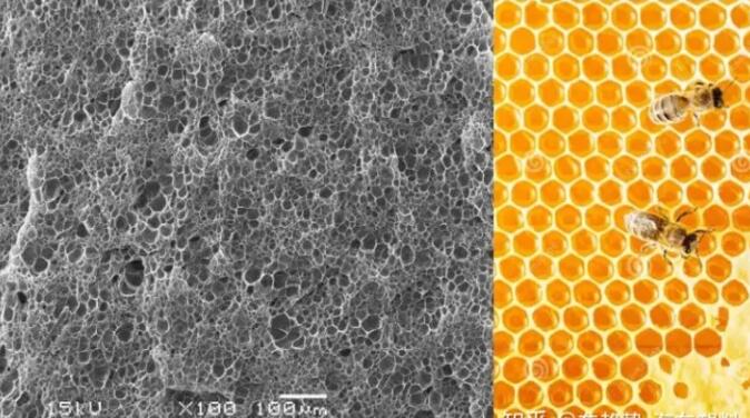 epp發泡聚丙烯的顯微結構,可以看到這是種連續閉孔結構,類似于蜂窩 epp發泡聚丙烯的顯微結構,可以看到這是種連續閉孔結構,類似于蜂窩